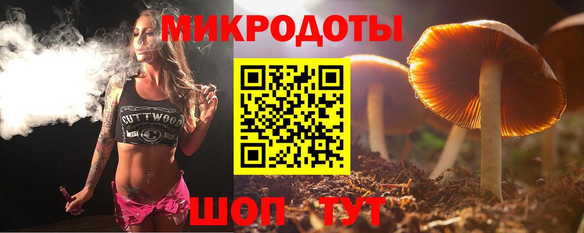 Карасук  Галлюциногенные грибы Magic Shrooms  Вход с VPN  Псилоцибиновые грибы Psilocybine cubensis 